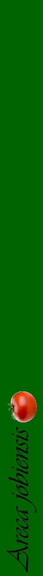 Étiquette de : Areca jobiensis - format a - style noire8viv avec comestibilité simplifiée