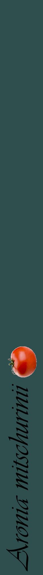 Étiquette de : Aronia mitschurinii - format a - style noire58viv avec comestibilité simplifiée