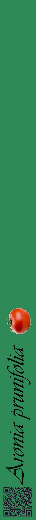 Étiquette de : Aronia prunifolia - format a - style noire11viv avec qrcode et comestibilité simplifiée