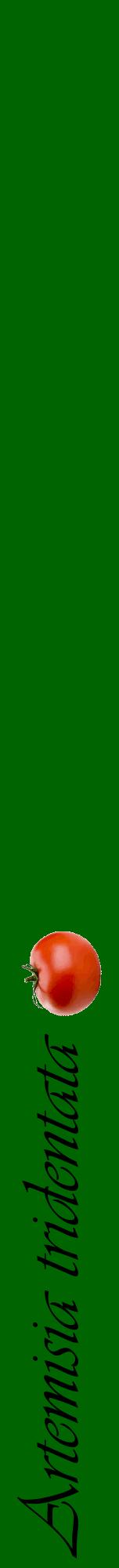 Étiquette de : Artemisia tridentata - format a - style noire8viv avec comestibilité simplifiée