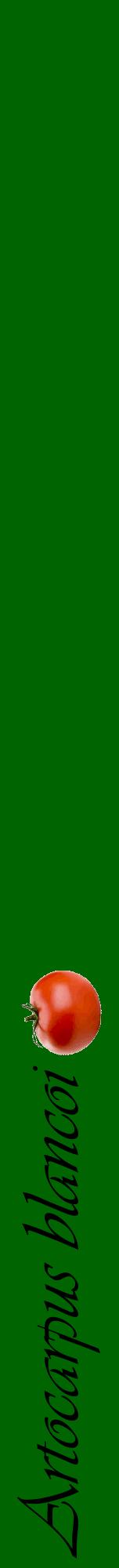 Étiquette de : Artocarpus blancoi - format a - style noire8viv avec comestibilité simplifiée