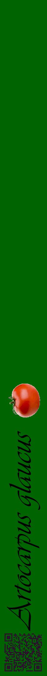 Étiquette de : Artocarpus glaucus - format a - style noire8viv avec qrcode et comestibilité simplifiée