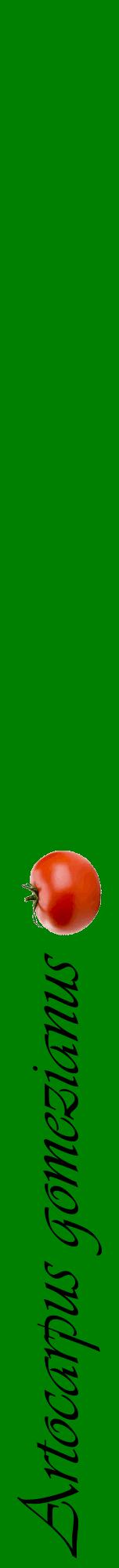 Étiquette de : Artocarpus gomezianus - format a - style noire9viv avec comestibilité simplifiée