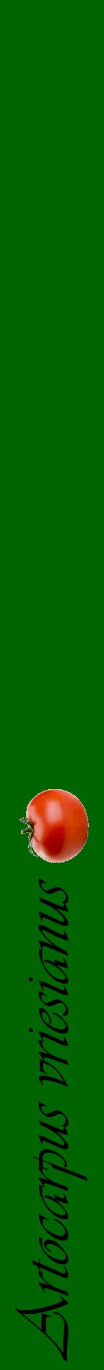 Étiquette de : Artocarpus vriesianus - format a - style noire8viv avec comestibilité simplifiée