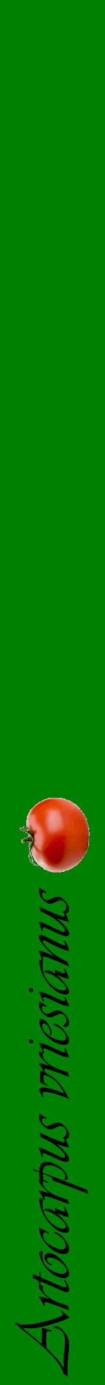 Étiquette de : Artocarpus vriesianus - format a - style noire9viv avec comestibilité simplifiée