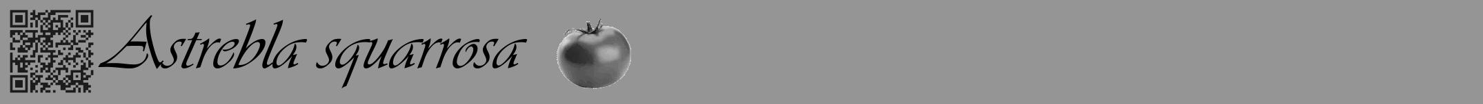Étiquette de : Astrebla squarrosa - format a - style noire16viv avec qrcode et comestibilité simplifiée