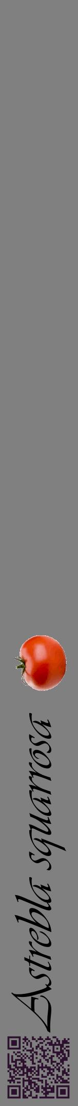 Étiquette de : Astrebla squarrosa - format a - style noire57viv avec qrcode et comestibilité simplifiée