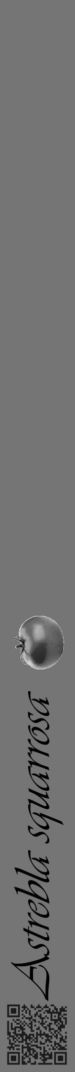 Étiquette de : Astrebla squarrosa - format a - style noire5viv avec qrcode et comestibilité simplifiée - position verticale