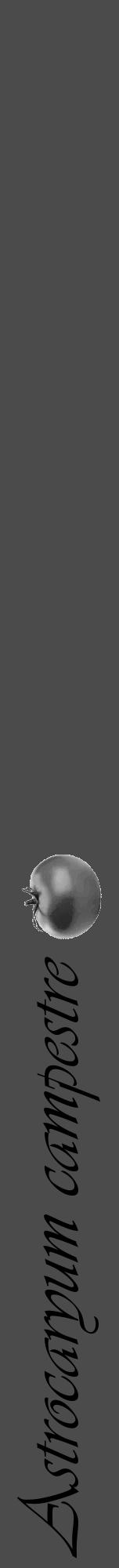 Étiquette de : Astrocaryum campestre - format a - style noire9viv avec comestibilité simplifiée - position verticale