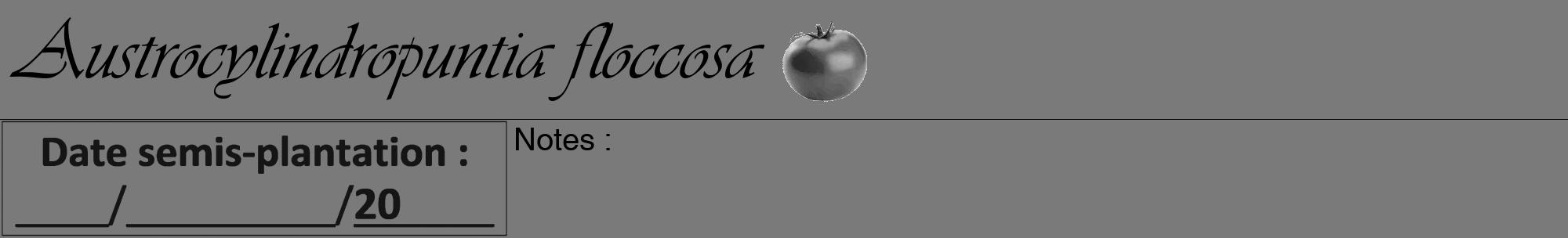 Étiquette de : Austrocylindropuntia floccosa - format a - style noire3viv avec comestibilité simplifiée