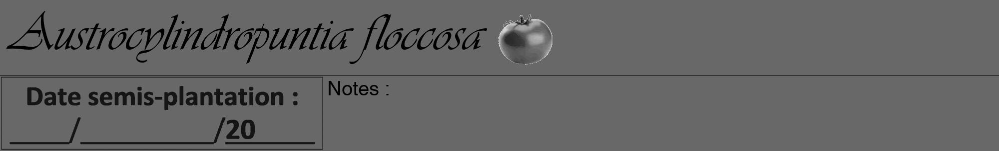 Étiquette de : Austrocylindropuntia floccosa - format a - style noire6viv avec comestibilité simplifiée
