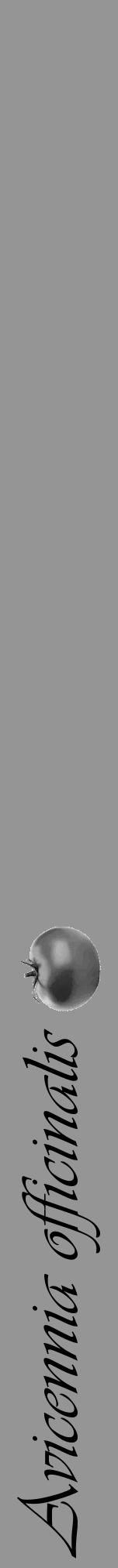Étiquette de : Avicennia officinalis - format a - style noire16viv avec comestibilité simplifiée - position verticale