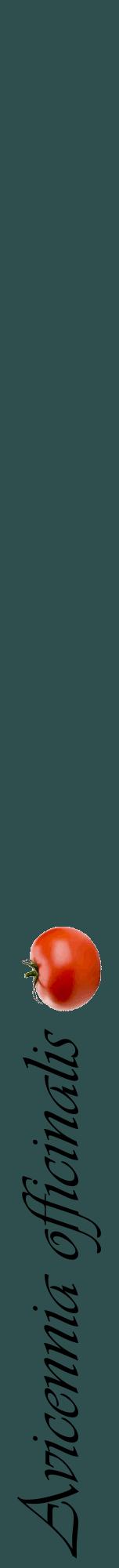 Étiquette de : Avicennia officinalis - format a - style noire58viv avec comestibilité simplifiée