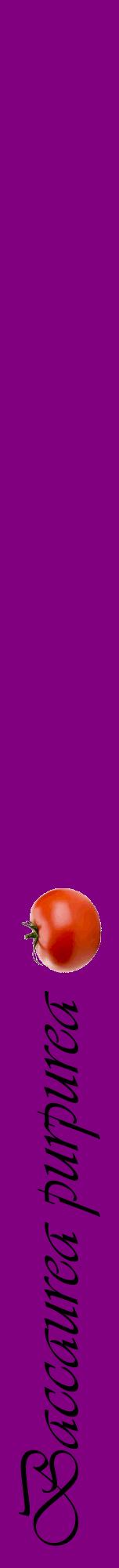 Étiquette de : Baccaurea purpurea - format a - style noire46viv avec comestibilité simplifiée