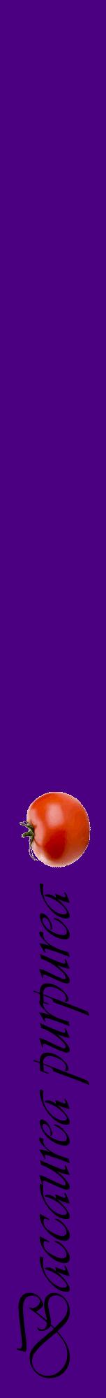 Étiquette de : Baccaurea purpurea - format a - style noire47viv avec comestibilité simplifiée