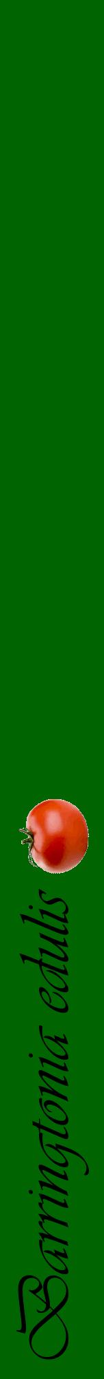 Étiquette de : Barringtonia edulis - format a - style noire8viv avec comestibilité simplifiée