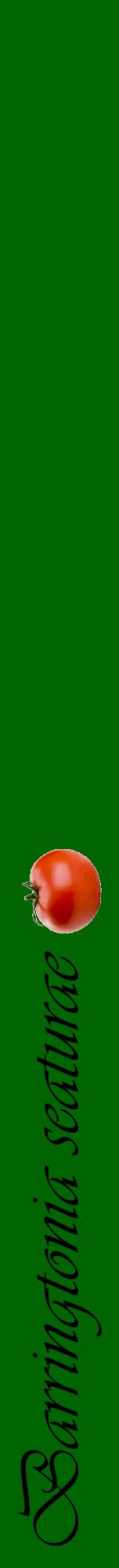 Étiquette de : Barringtonia seaturae - format a - style noire8viv avec comestibilité simplifiée