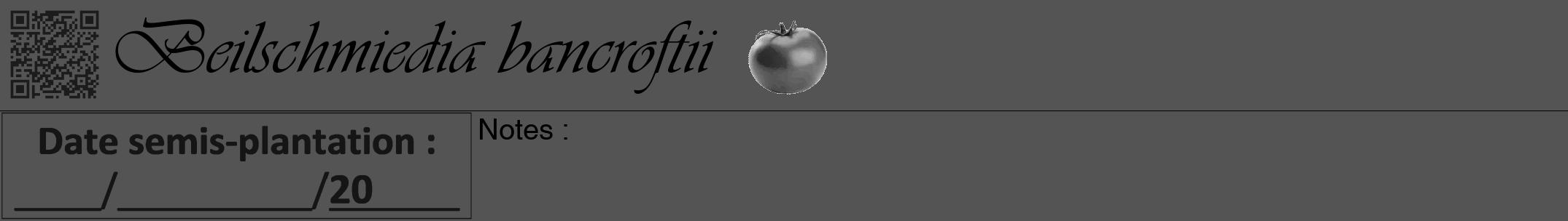 Étiquette de : Beilschmiedia bancroftii - format a - style noire36viv avec qrcode et comestibilité simplifiée