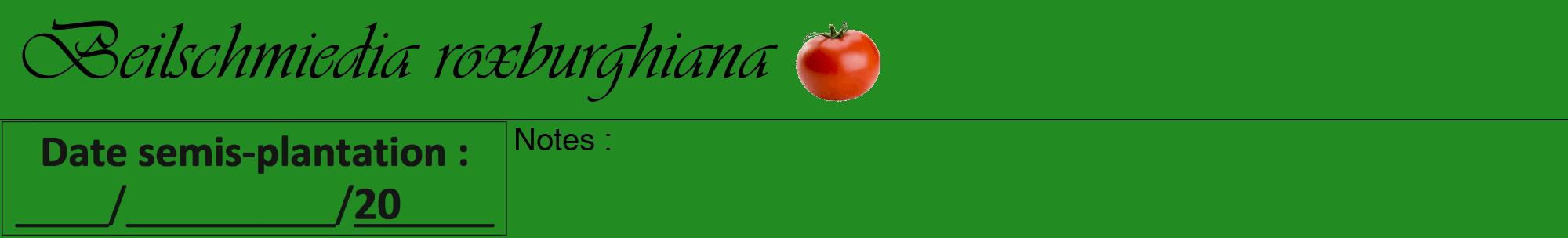 Étiquette de : Beilschmiedia roxburghiana - format a - style noire10viv avec comestibilité simplifiée
