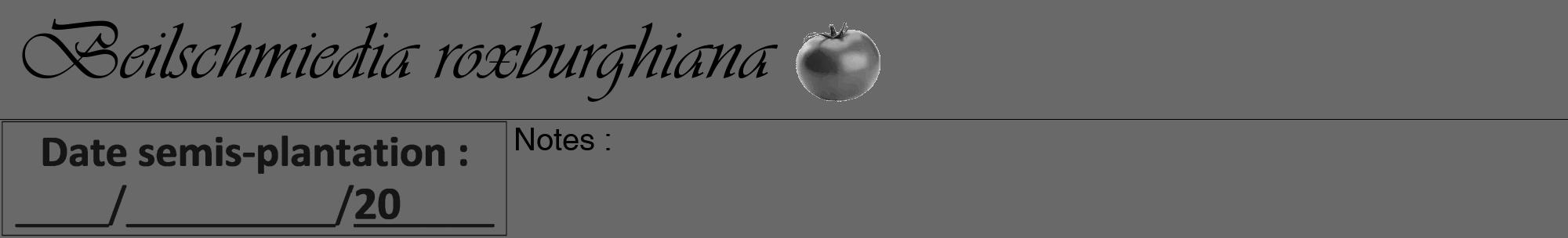 Étiquette de : Beilschmiedia roxburghiana - format a - style noire51viv avec comestibilité simplifiée