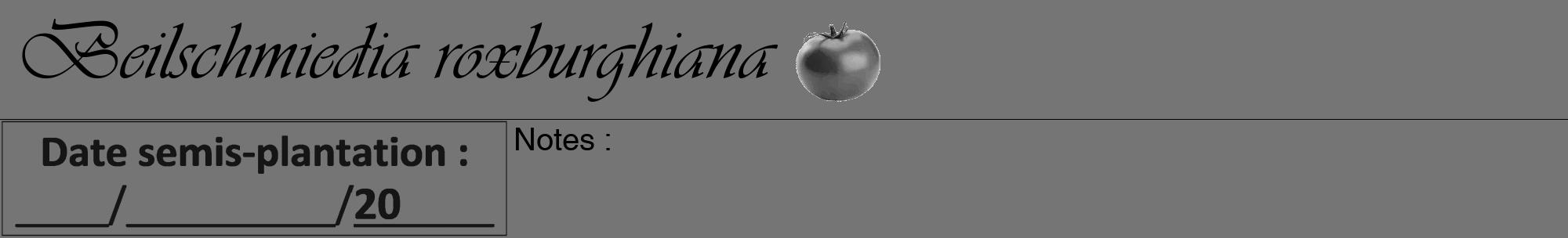 Étiquette de : Beilschmiedia roxburghiana - format a - style noire5viv avec comestibilité simplifiée