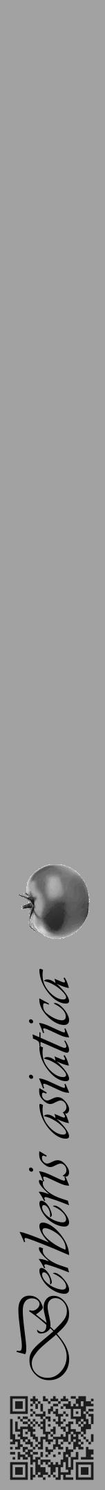 Étiquette de : Berberis asiatica - format a - style noire38viv avec qrcode et comestibilité simplifiée - position verticale