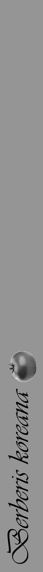 Étiquette de : Berberis koreana - format a - style noire16viv avec comestibilité simplifiée - position verticale