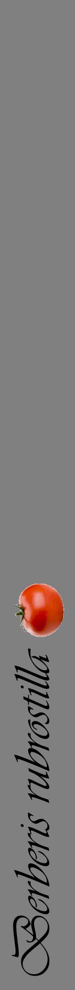 Étiquette de : Berberis rubrostilla - format a - style noire57viv avec comestibilité simplifiée