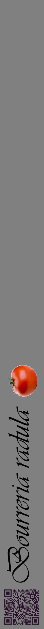 Étiquette de : Bourreria radula - format a - style noire57viv avec qrcode et comestibilité simplifiée - position verticale