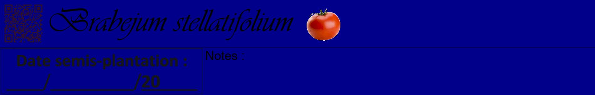Étiquette de : Brabejum stellatifolium - format a - style noire7basiqueviv avec qrcode et comestibilité simplifiée