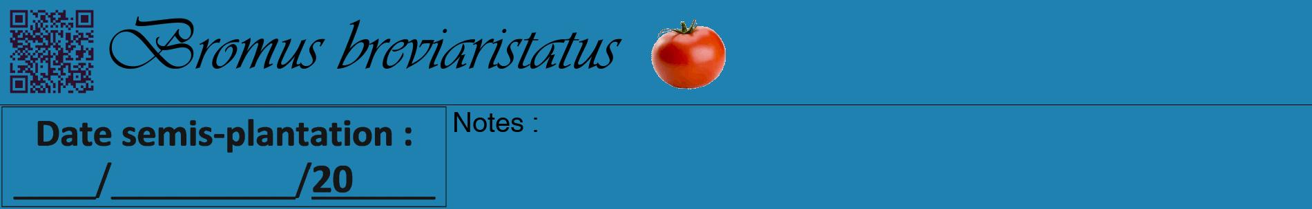Étiquette de : Bromus breviaristatus - format a - style noire6basiqueviv avec qrcode et comestibilité simplifiée