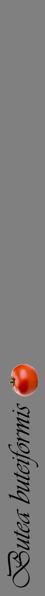 Étiquette de : Butea buteiformis - format a - style noire57viv avec comestibilité simplifiée