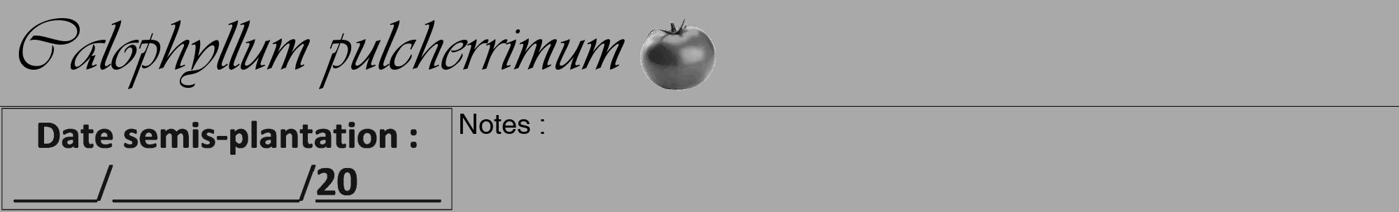 Étiquette de : Calophyllum pulcherrimum - format a - style noire13viv avec comestibilité simplifiée