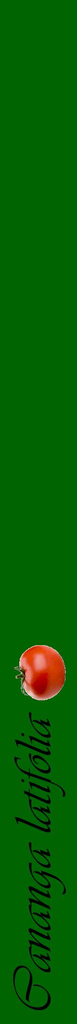 Étiquette de : Cananga latifolia - format a - style noire8viv avec comestibilité simplifiée