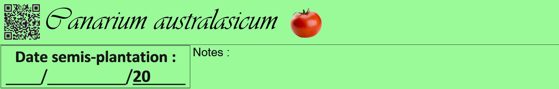 Étiquette de : Canarium australasicum - format a - style noire14basiqueviv avec qrcode et comestibilité simplifiée