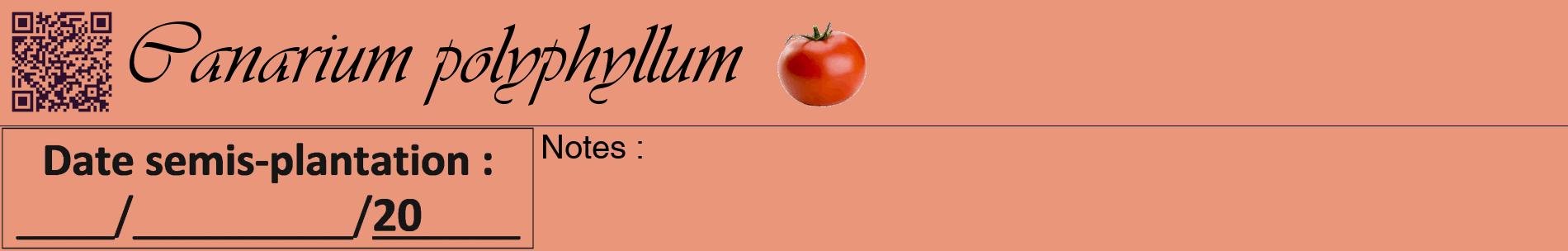 Étiquette de : Canarium polyphyllum - format a - style noire37basiqueviv avec qrcode et comestibilité simplifiée