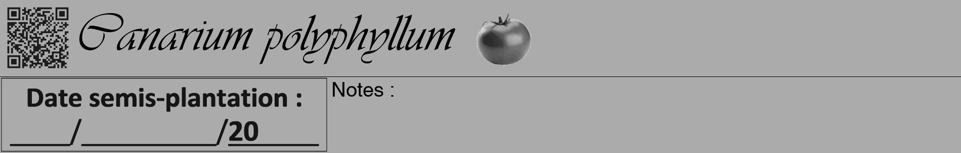 Étiquette de : Canarium polyphyllum - format a - style noire37basiqueviv avec qrcode et comestibilité simplifiée