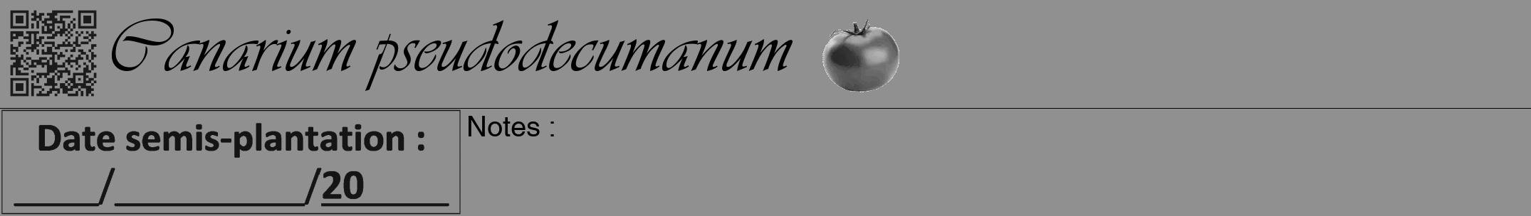 Étiquette de : Canarium pseudodecumanum - format a - style noire4viv avec qrcode et comestibilité simplifiée