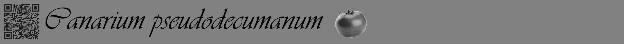 Étiquette de : Canarium pseudodecumanum - format a - style noire50simpleviv avec qrcode et comestibilité simplifiée