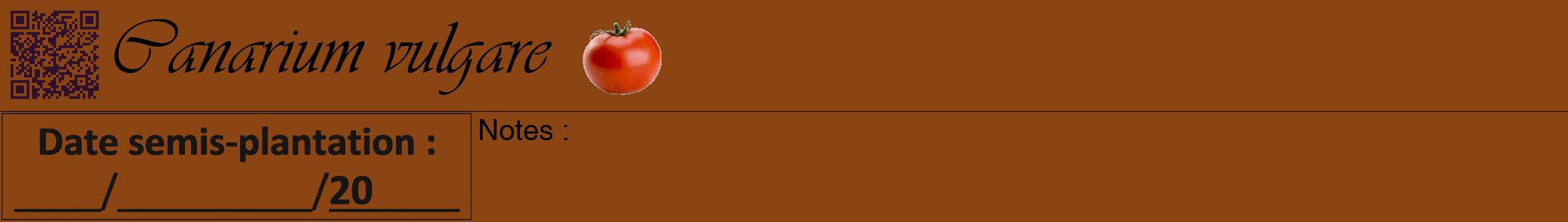 Étiquette de : Canarium vulgare - format a - style noire30viv avec qrcode et comestibilité simplifiée