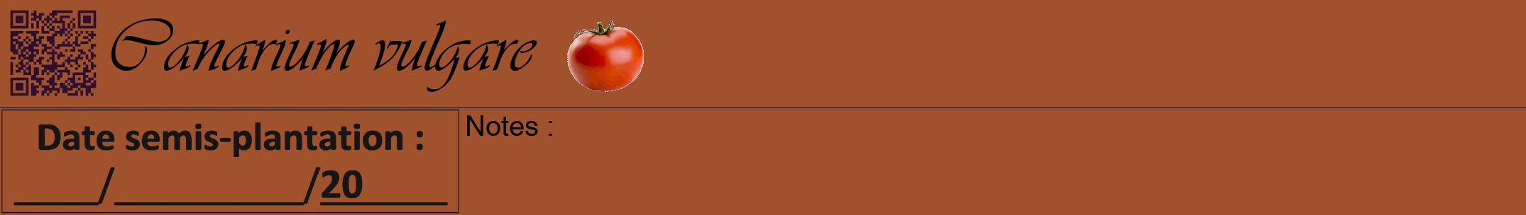 Étiquette de : Canarium vulgare - format a - style noire32viv avec qrcode et comestibilité simplifiée