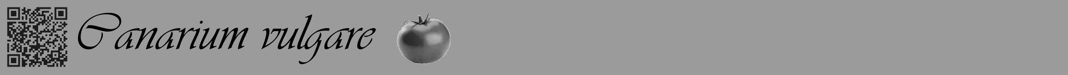 Étiquette de : Canarium vulgare - format a - style noire52viv avec qrcode et comestibilité simplifiée