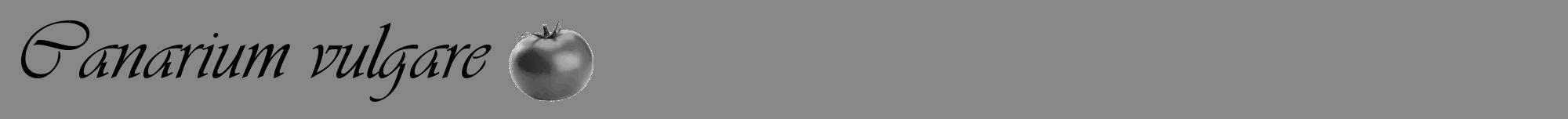 Étiquette de : Canarium vulgare - format a - style noire12basiqueviv avec comestibilité simplifiée