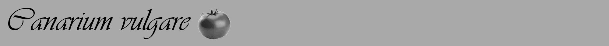 Étiquette de : Canarium vulgare - format a - style noire13viv avec comestibilité simplifiée