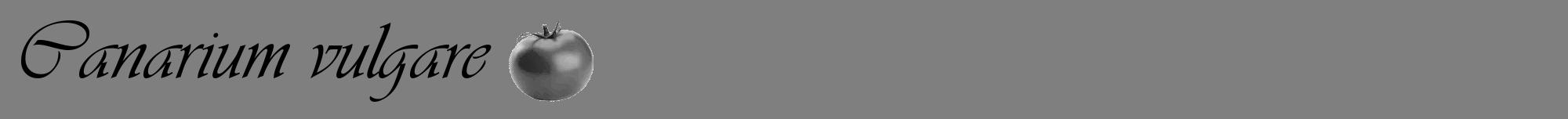 Étiquette de : Canarium vulgare - format a - style noire57viv avec comestibilité simplifiée