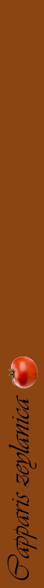 Étiquette de : Capparis zeylanica - format a - style noire30viv avec comestibilité simplifiée