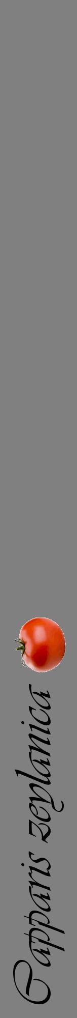 Étiquette de : Capparis zeylanica - format a - style noire57viv avec comestibilité simplifiée