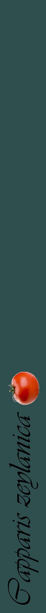 Étiquette de : Capparis zeylanica - format a - style noire58viv avec comestibilité simplifiée