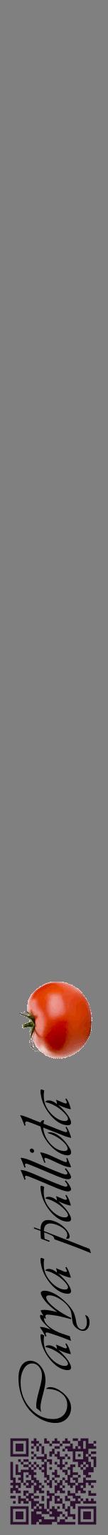 Étiquette de : Carya pallida - format a - style noire57viv avec qrcode et comestibilité simplifiée