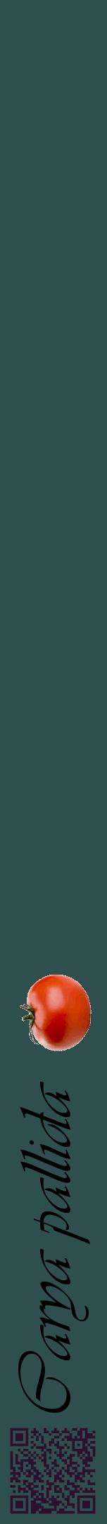 Étiquette de : Carya pallida - format a - style noire58viv avec qrcode et comestibilité simplifiée